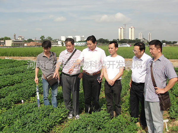 威力泰現場指導篇